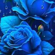 ヒメ日記 2025/12/24 04:38 投稿 野上 熟女の風俗最終章 横浜本店