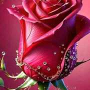 ヒメ日記 2025/12/28 22:24 投稿 野上 熟女の風俗最終章 横浜本店