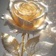 ヒメ日記 2026/01/05 13:14 投稿 野上 熟女の風俗最終章 横浜本店