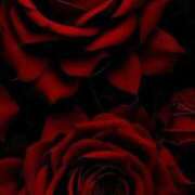 ヒメ日記 2026/01/05 21:51 投稿 野上 熟女の風俗最終章 横浜本店