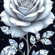 ヒメ日記 2026/01/08 19:49 投稿 野上 熟女の風俗最終章 横浜本店