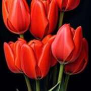 ヒメ日記 2026/01/09 21:07 投稿 野上 熟女の風俗最終章 横浜本店