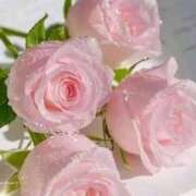 ヒメ日記 2026/01/11 10:14 投稿 野上 熟女の風俗最終章 横浜本店