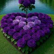 ヒメ日記 2026/01/15 20:08 投稿 野上 熟女の風俗最終章 横浜本店