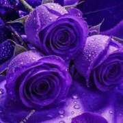 ヒメ日記 2026/01/16 23:15 投稿 野上 熟女の風俗最終章 横浜本店