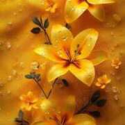 ヒメ日記 2026/01/23 17:24 投稿 野上 熟女の風俗最終章 横浜本店