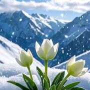 ヒメ日記 2026/01/31 12:59 投稿 野上 熟女の風俗最終章 横浜本店