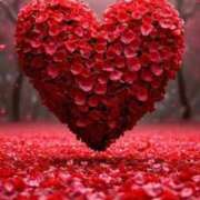 ヒメ日記 2026/02/11 04:54 投稿 野上 熟女の風俗最終章 横浜本店