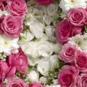 ヒメ日記 2026/02/12 14:11 投稿 野上 熟女の風俗最終章 横浜本店