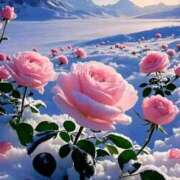 野上 有難う御座居ました 熟女の風俗最終章 横浜本店