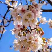 ヒメ日記 2026/02/23 10:14 投稿 野上 熟女の風俗最終章 横浜本店