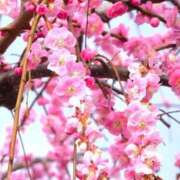 ヒメ日記 2026/02/26 19:38 投稿 野上 熟女の風俗最終章 横浜本店