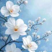 ヒメ日記 2026/02/27 03:04 投稿 野上 熟女の風俗最終章 横浜本店