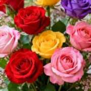 ヒメ日記 2026/02/28 12:55 投稿 野上 熟女の風俗最終章 横浜本店