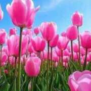 ヒメ日記 2026/03/05 11:14 投稿 野上 熟女の風俗最終章 横浜本店