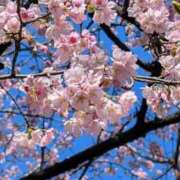 ヒメ日記 2026/03/05 14:14 投稿 野上 熟女の風俗最終章 横浜本店