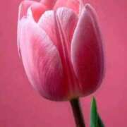 ヒメ日記 2026/03/05 19:27 投稿 野上 熟女の風俗最終章 横浜本店