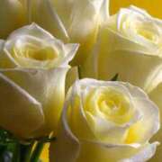 ヒメ日記 2026/03/06 10:56 投稿 野上 熟女の風俗最終章 横浜本店