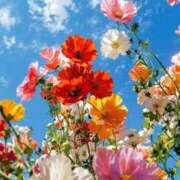 ヒメ日記 2026/03/07 11:45 投稿 野上 熟女の風俗最終章 横浜本店