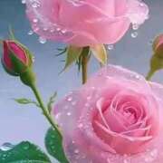 ヒメ日記 2026/03/10 10:24 投稿 野上 熟女の風俗最終章 横浜本店