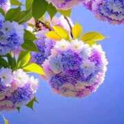 ヒメ日記 2026/03/10 17:24 投稿 野上 熟女の風俗最終章 横浜本店