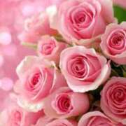 ヒメ日記 2026/03/11 07:54 投稿 野上 熟女の風俗最終章 横浜本店