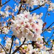 ヒメ日記 2026/03/14 07:14 投稿 野上 熟女の風俗最終章 横浜本店