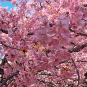 ヒメ日記 2026/03/14 10:14 投稿 野上 熟女の風俗最終章 横浜本店