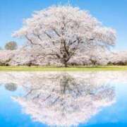 ヒメ日記 2026/03/17 08:06 投稿 野上 熟女の風俗最終章 横浜本店