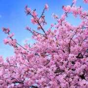 ヒメ日記 2026/03/17 12:07 投稿 野上 熟女の風俗最終章 横浜本店