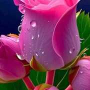 ヒメ日記 2026/03/17 19:44 投稿 野上 熟女の風俗最終章 横浜本店