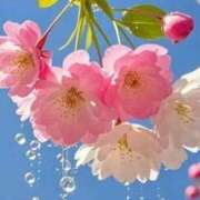 ヒメ日記 2026/03/26 13:07 投稿 野上 熟女の風俗最終章 横浜本店