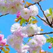 ヒメ日記 2026/03/28 11:05 投稿 野上 熟女の風俗最終章 横浜本店