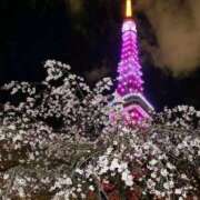 ヒメ日記 2026/03/28 22:44 投稿 野上 熟女の風俗最終章 横浜本店