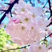 ヒメ日記 2026/03/30 18:44 投稿 野上 熟女の風俗最終章 横浜本店