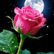 ヒメ日記 2026/03/31 00:04 投稿 野上 熟女の風俗最終章 横浜本店