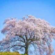 ヒメ日記 2026/04/01 19:04 投稿 野上 熟女の風俗最終章 横浜本店