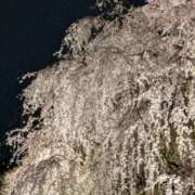 ヒメ日記 2026/04/02 19:44 投稿 野上 熟女の風俗最終章 横浜本店