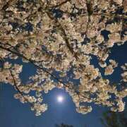 ヒメ日記 2026/04/03 22:23 投稿 野上 熟女の風俗最終章 横浜本店