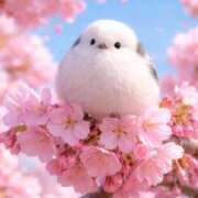 ヒメ日記 2026/04/05 10:17 投稿 野上 熟女の風俗最終章 横浜本店