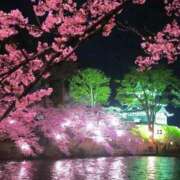 ヒメ日記 2026/04/08 22:34 投稿 野上 熟女の風俗最終章 横浜本店