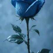 ヒメ日記 2026/04/10 08:34 投稿 野上 熟女の風俗最終章 横浜本店