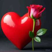 ヒメ日記 2026/04/10 17:39 投稿 野上 熟女の風俗最終章 横浜本店