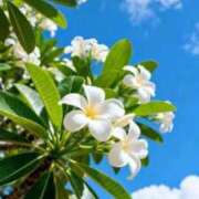 ヒメ日記 2026/04/11 10:20 投稿 野上 熟女の風俗最終章 横浜本店