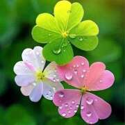 ヒメ日記 2026/04/14 15:34 投稿 野上 熟女の風俗最終章 横浜本店