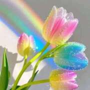 ヒメ日記 2026/04/17 09:24 投稿 野上 熟女の風俗最終章 横浜本店