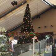 ヒメ日記 2024/12/25 10:08 投稿 ジュン ミセスコレクション