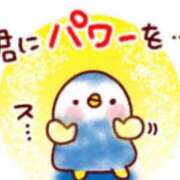 ヒメ日記 2025/03/13 12:05 投稿 ジュン ミセスコレクション