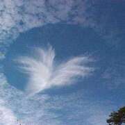 ヒメ日記 2025/07/08 08:35 投稿 ジュン ミセスコレクション