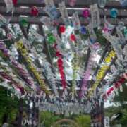 ヒメ日記 2025/08/22 09:49 投稿 ジュン ミセスコレクション